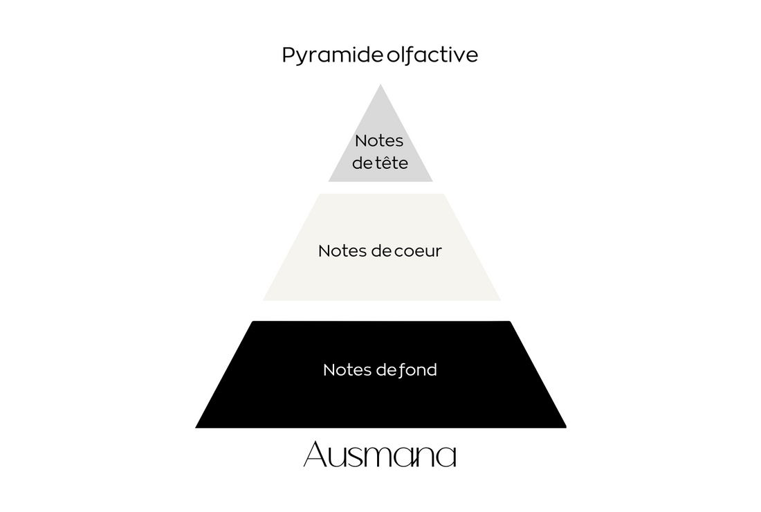 Comprendre les Notes de Tête, de Cœur et de Fond